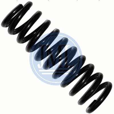 Spring, Auto Spring, Auto Parts, Suspension Spring OEM NO.:202 324 05 04