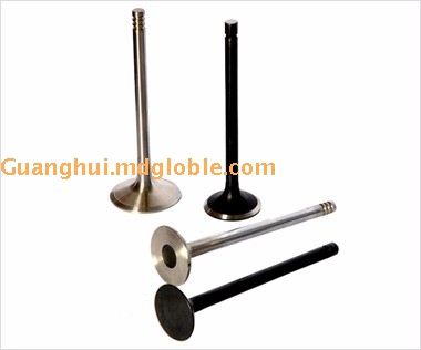 Engine Valves Serie of mini car