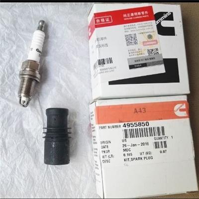 2881797 3976119 4937472 4955850 Cummins C8.3 GAS CGE Engine Spark Plug Kit