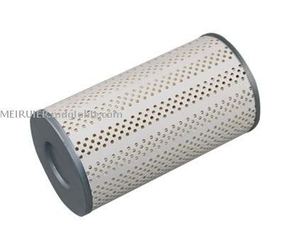 Fuel Filter for Fleetguard Series FS1029