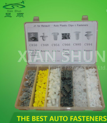 Auto Fasteners Set Renault Clip 