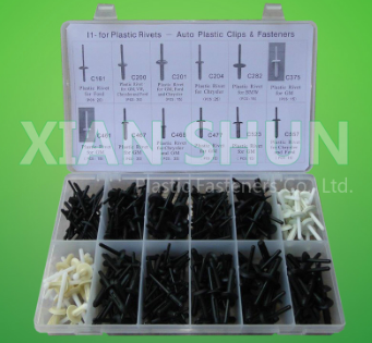 Auto Fasteners Set Renault Clip 