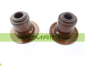 DEMAISI NBR/FKM Valve Oil Seal for GM