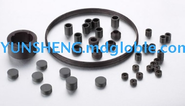 Bonded NdFeB Injection magnets