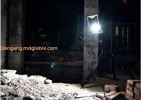 Floodlight FA3610 60W